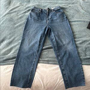 PacSun Blue High Rise Straight Jeans